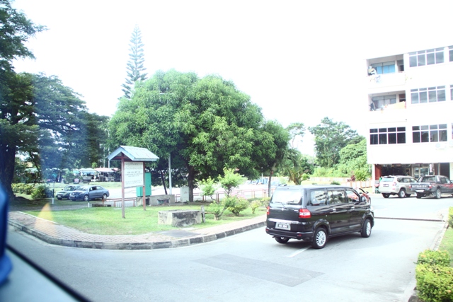 1103-343.JPG